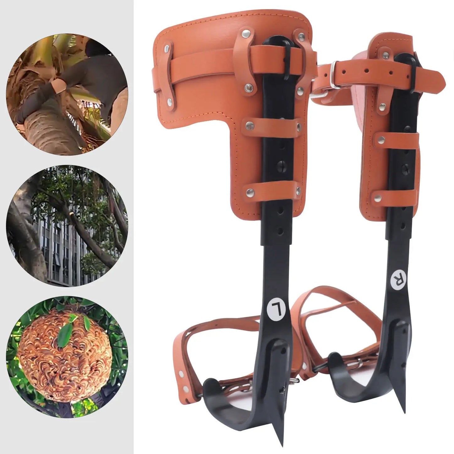 Tree Climbing Spike Set With Pole Spurs And Strap