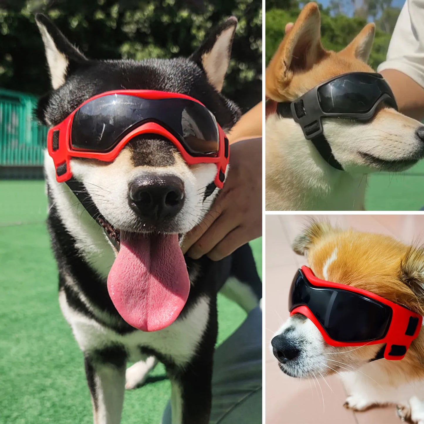 Dog Travel Adjustable Goggles Protective Sunglasses For Dogs