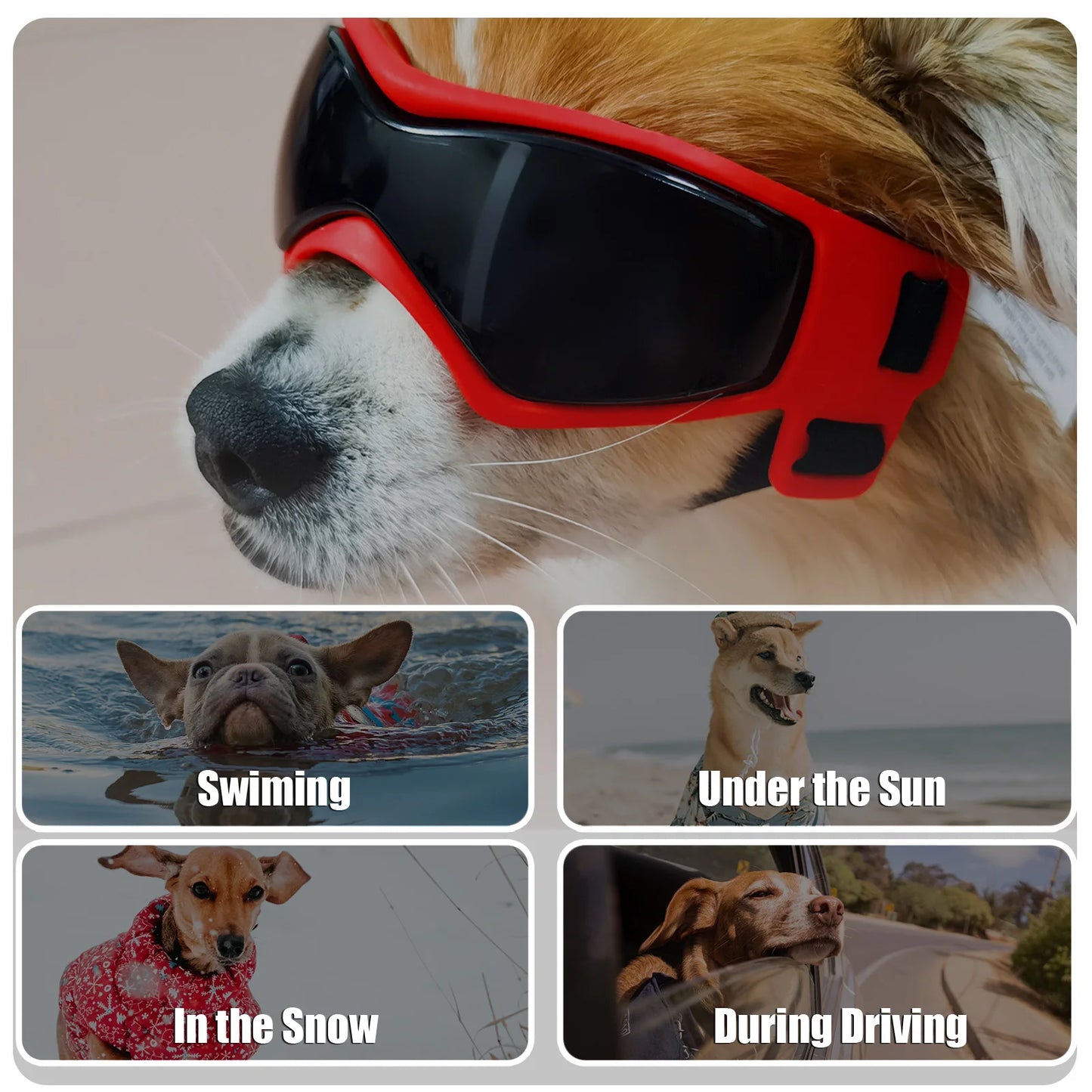 Dog Travel Adjustable Goggles Protective Sunglasses For Dogs