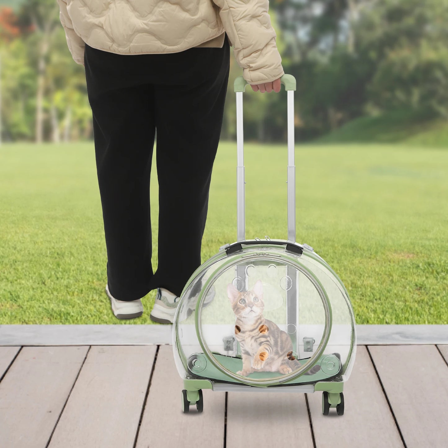 Rolling Cat Carrier With Wheels Clear Bubble