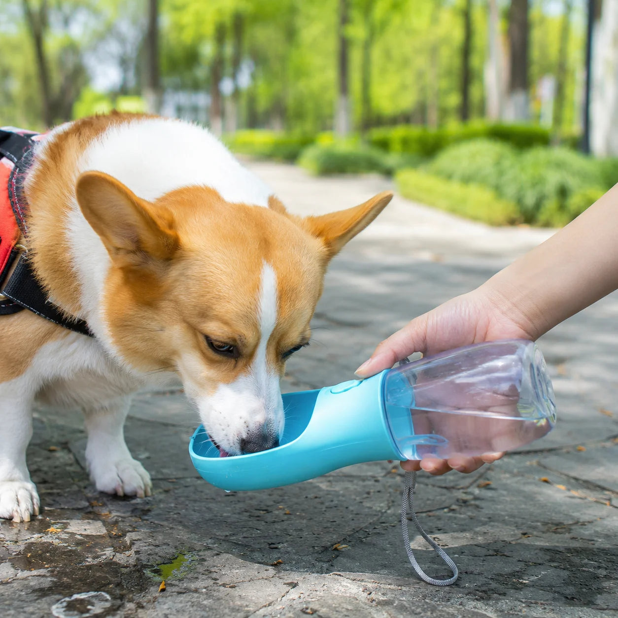 Portable Dog Water Bottle With Food Dispenser Bowl