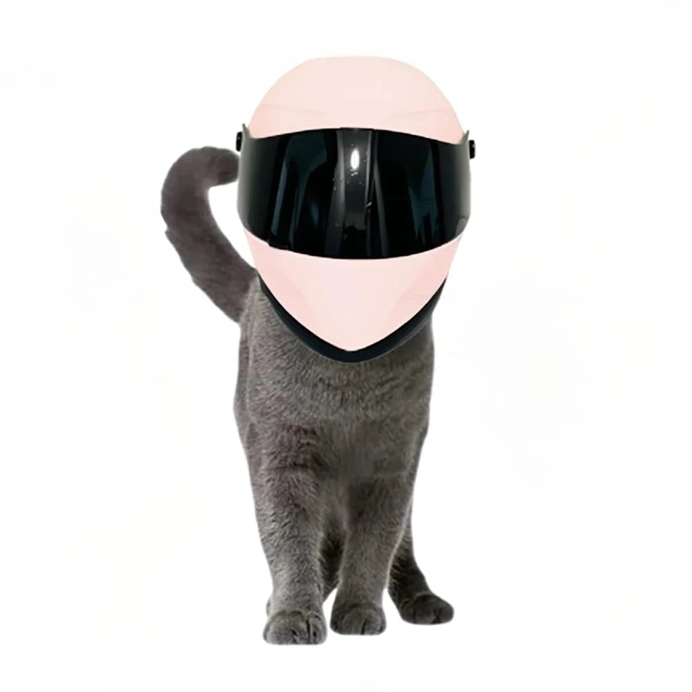 Pet Full Face Motorcycle Helmet For Cats And Dogs