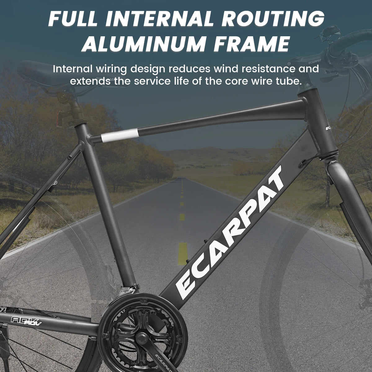 Ecarpat 16 Speed Road Bike Aluminum Frame Dual Disc Brake