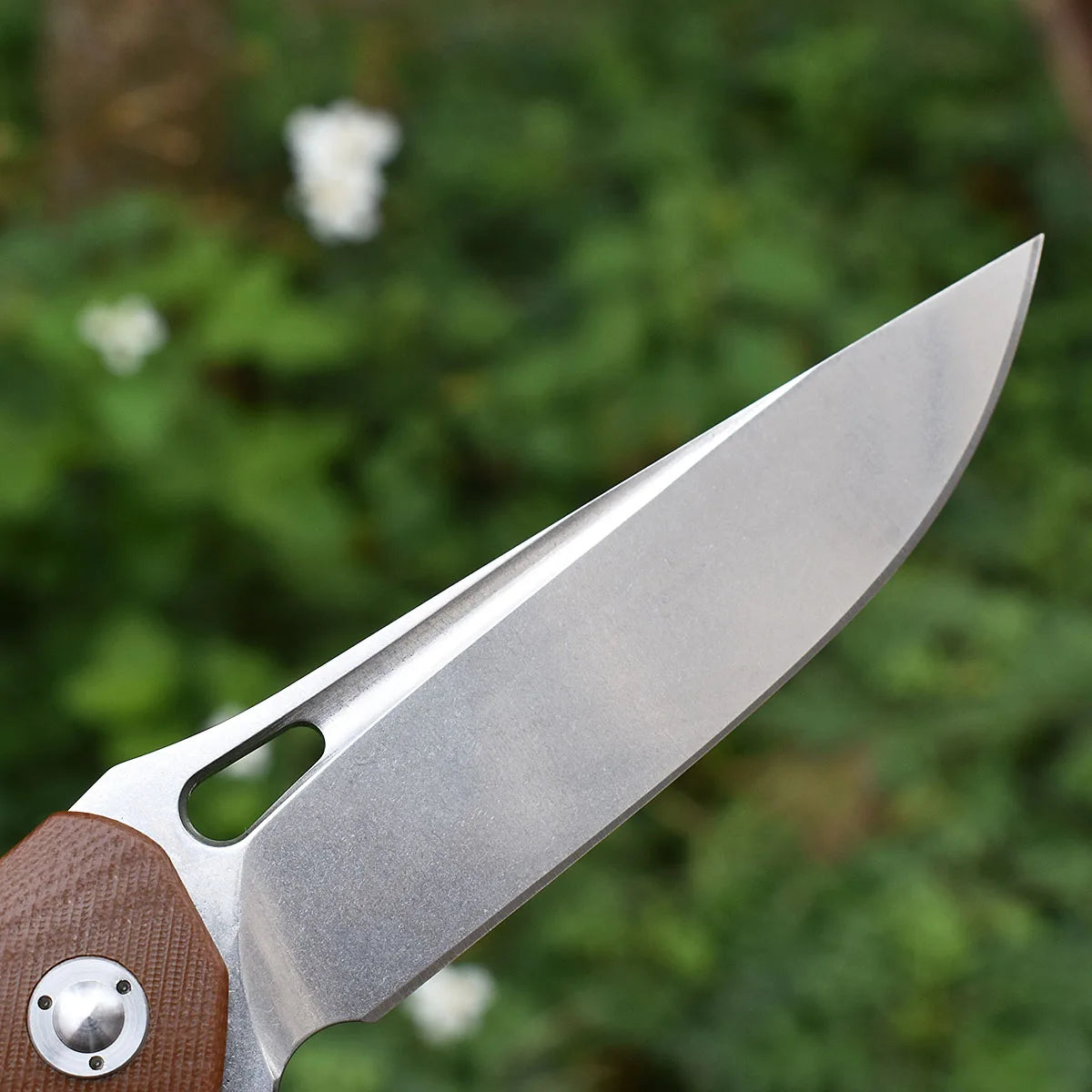 Blackdragon M390 Steel G10 Handle Folding Knife