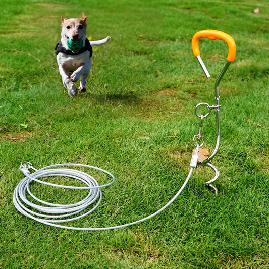 Outdoor Pet Steel Ground Nail Bolt Dog Stake